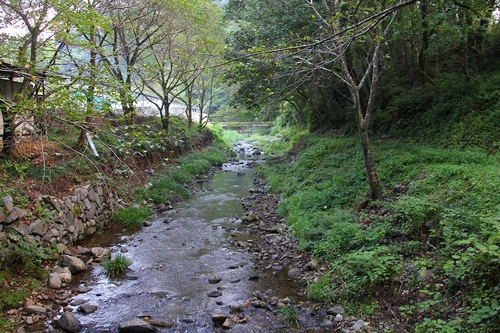 夏休みキャンプ♪