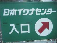 11月7日釣行