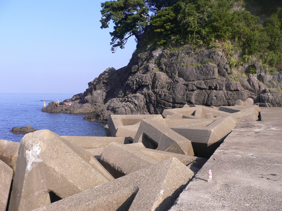 にわか釣師は一人前になれるのか 好敵手攻略 河野海岸 敦賀港