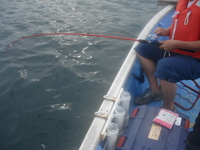 3人でヒラメ20枚釣れました。