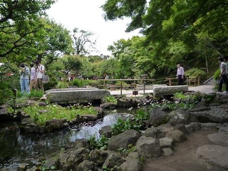 鎌倉・長谷寺