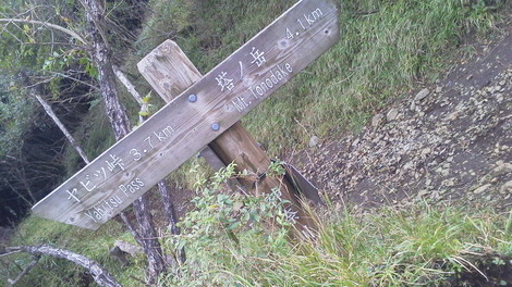 ヤビツ登山