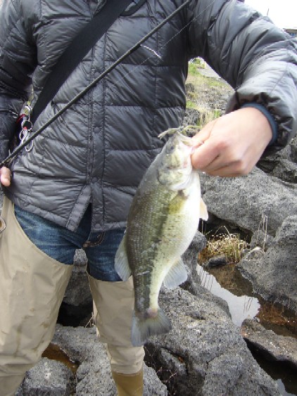 釣って食べる 狩猟本能全開 ついでにbbq 河口湖へ