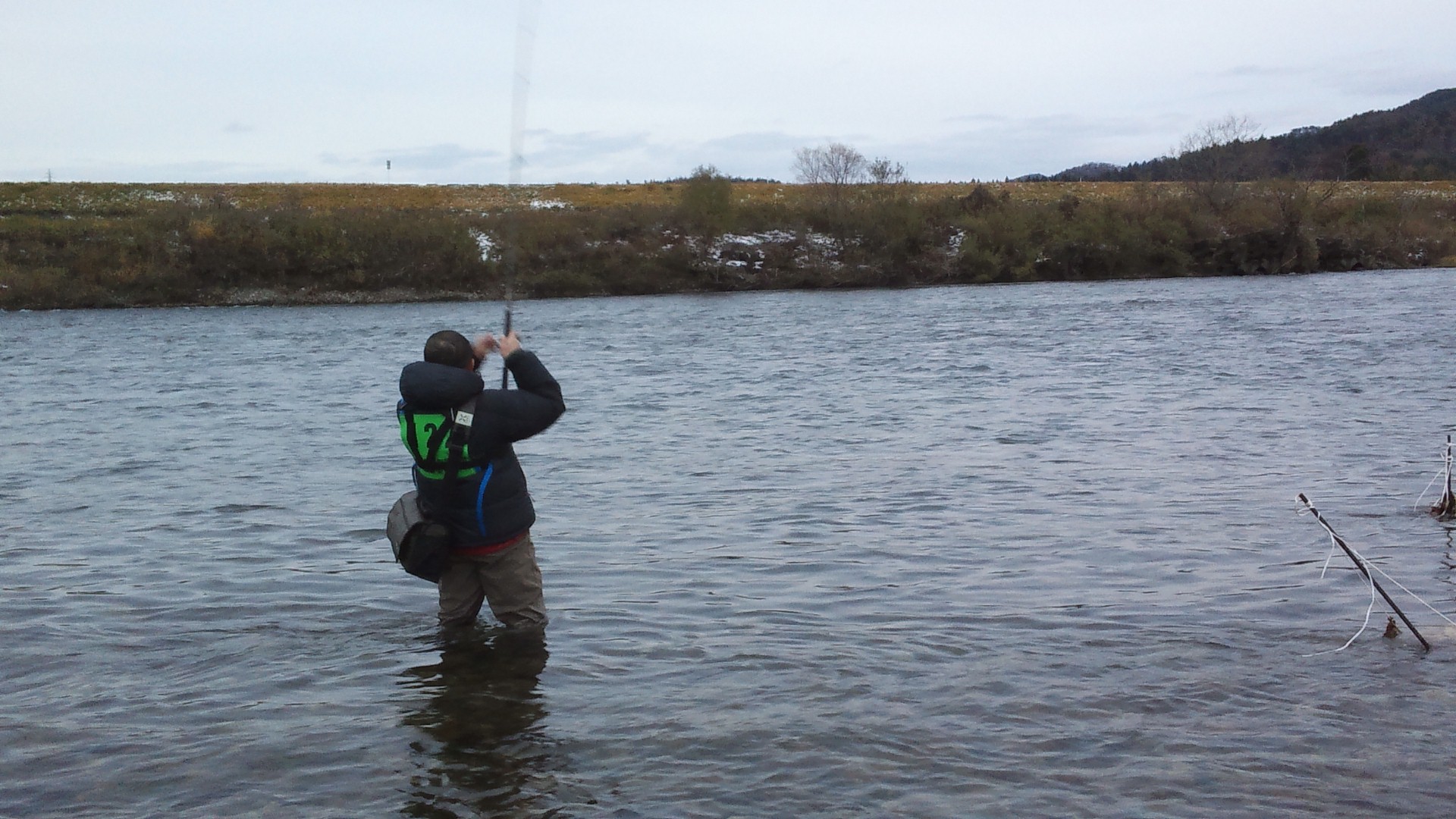 ２０１２新潟荒川鮭釣獲調査
