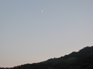 炉ばた大将 in 片添