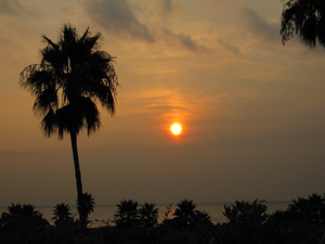 片添の朝なのに夕焼け