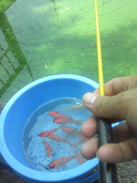 激戦区へ 2013/07/15 07:31:17