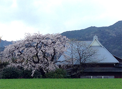 宝珠寺
