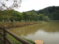 稲ヶ崎キャンプ場
