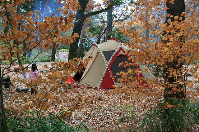 保古の湖キャンプ場　岐阜県