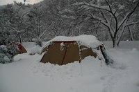 朝寝は禁物　雪中キャンプ　大鬼谷キャンプ場