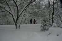 朝寝は禁物　雪中キャンプ　大鬼谷キャンプ場