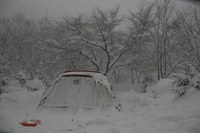 朝寝は禁物　雪中キャンプ　大鬼谷キャンプ場