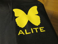 ALITE　MANTIS CHAIR 2013/08/15 11:10:00