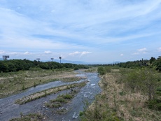 5月16日