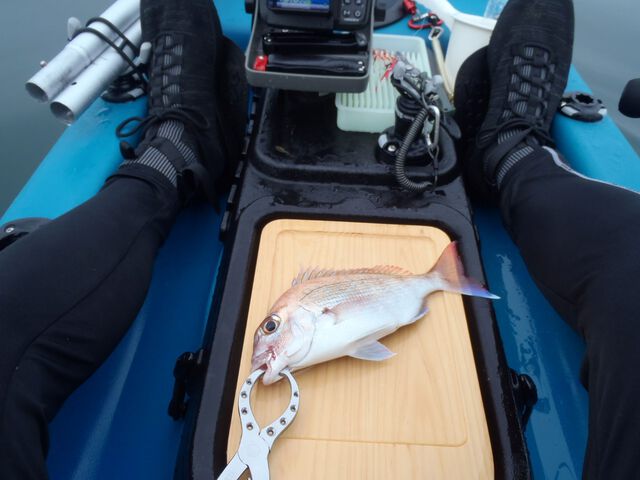 kayak fishing見聞録vol.12