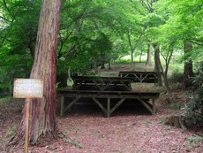 利用したキャンプ場のレビュー （四国）