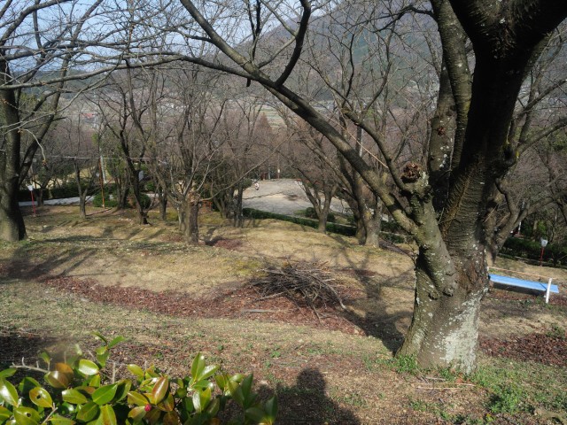 【キャンプ下見】 朝日山森林公園（香川県三豊市）