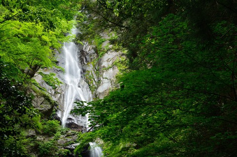 福養の滝（静岡市葵区） ＠南アの滝巡り６日目（１）