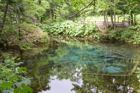 2012北海道４日目（２） 神の子池