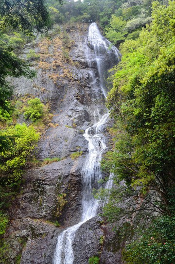 兵庫北部の滝巡り ４日目（１） 七種（なぐさ）の滝
