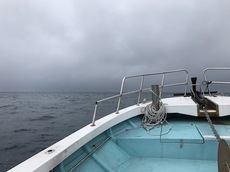 諭吉魚先生が逝く！　〜日本海ジギング編〜