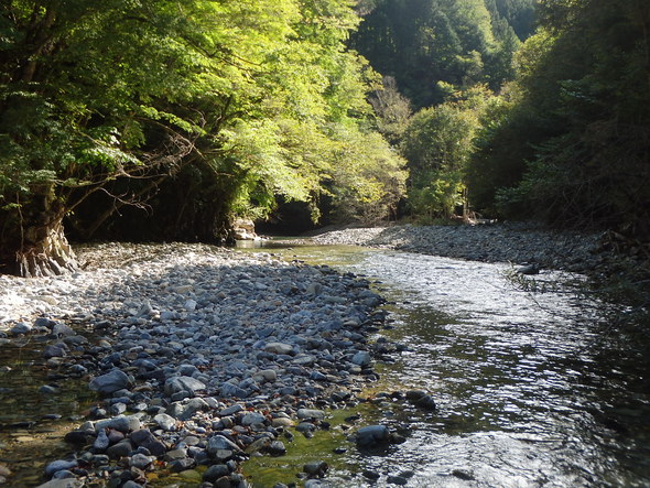 秋岩魚と銀婚式（飛騨高山～新穂高温泉）