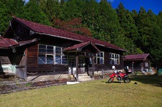 紅葉を求めて野迫川村の林道へ。