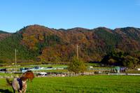 神奈川県・服部牧場へ行ってきました