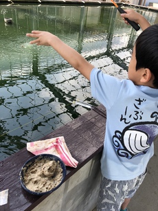 岡部農園に行ってきました。 2018/05/04 16:18:10
