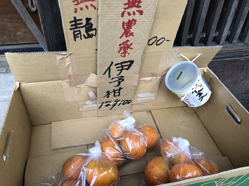 浜石岳～薩埵峠