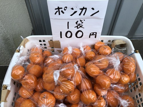 浜石岳～薩埵峠