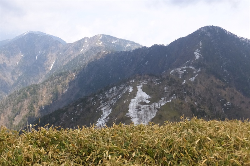 麻布山～前黒法師山～バラ谷の頭