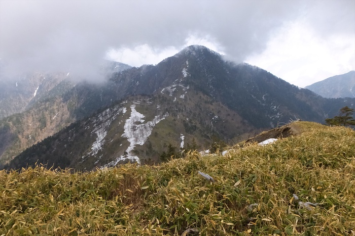麻布山～前黒法師山～バラ谷の頭