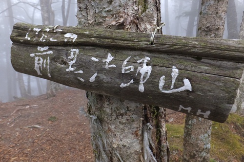 麻布山～前黒法師山～バラ谷の頭