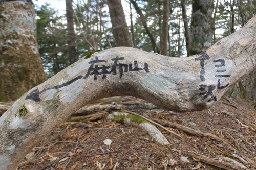 麻布山～前黒法師山～バラ谷の頭