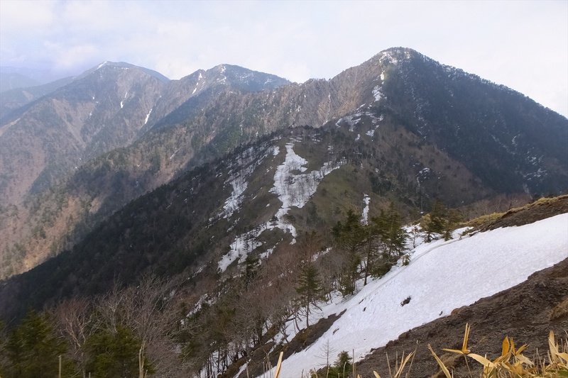 麻布山～前黒法師山～バラ谷の頭