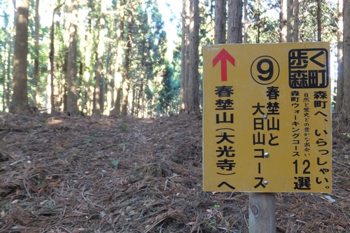 春埜山～鳥居沢山～大日山