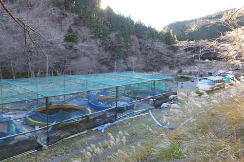 春埜山～鳥居沢山～大日山