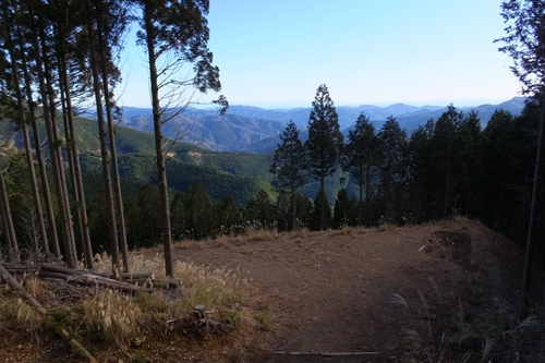 春埜山～鳥居沢山～大日山