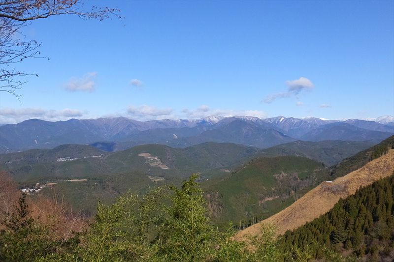 春埜山～鳥居沢山～大日山