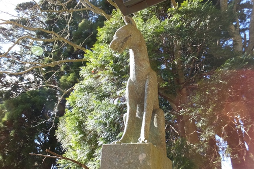 春埜山～鳥居沢山～大日山