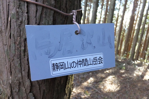 春埜山～鳥居沢山～大日山