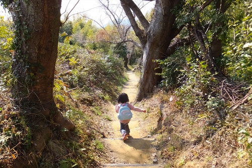 谷津山