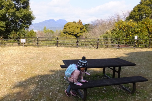 谷津山