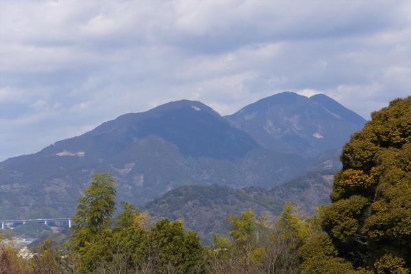 谷津山