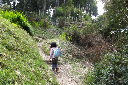 谷津山