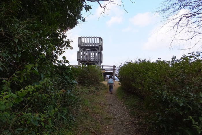 谷津山