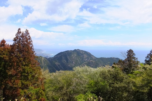 高草山