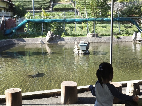 梅ヶ島温泉　清香旅館